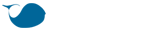 Coinbalina