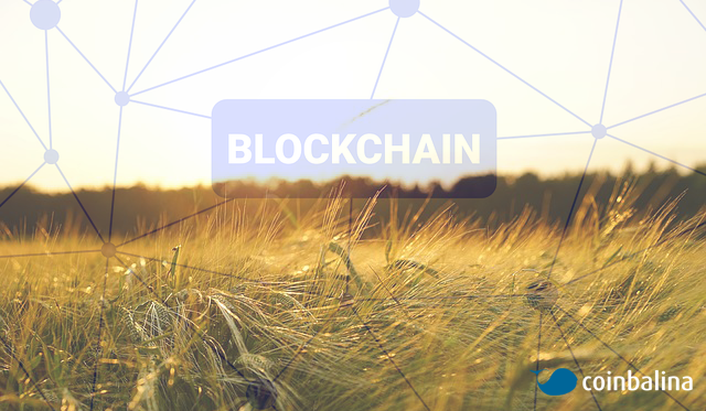 Tarım Firmaları Blockchain