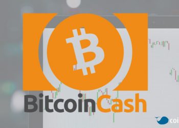 Bitcoin Cash'in yükselişi