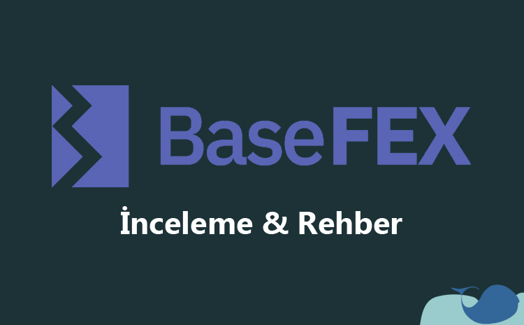BaseFex kullanımı & inceleme