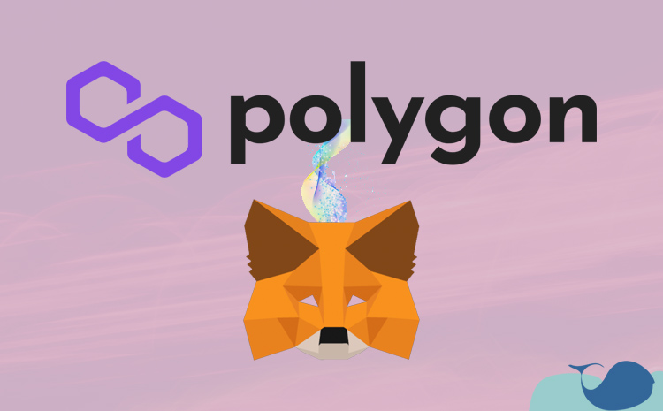 MetaMask Polygon ağı ekleme