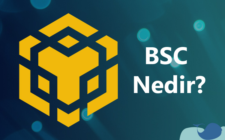 BSC nedir? BSC ağı nedir? BSC ağı coin'leri, bilgiler, transfer yapma, cüzdan ve uygulamalar