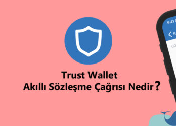 Trust Wallet akıllı sözleşme çağrısı nedir?