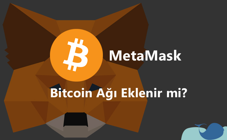 MetaMask Bitcoin ağı ekleme